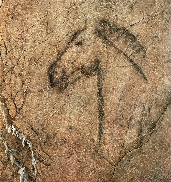 Pintura rupestre de una cabeza de caballo